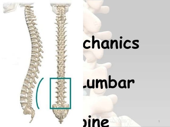 Neck & trunk rom measurement | PPT | Death, Injury, or Military ...