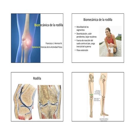 BiomecáNica De La Rodilla