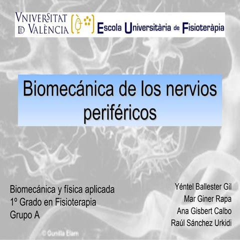 Biomecánica de los nervios periféricos