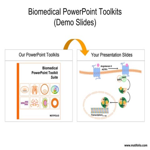 Biomedical PowerPoint Toolkits for Presentations