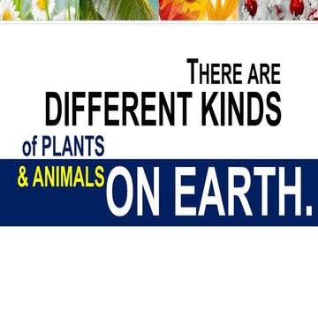 Kinds of Terrestrial Biome