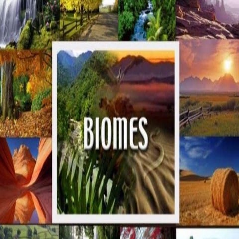 Biomes