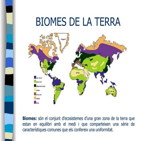 Tipus de ecosistemes terrestres o biomes | PPT