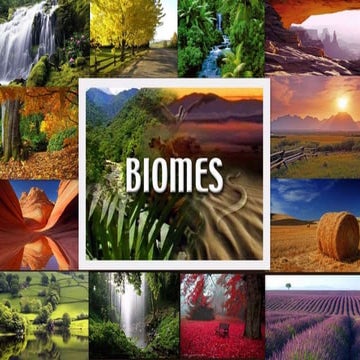 Biomes and ecosystems