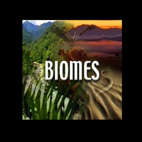 Biomes suarez