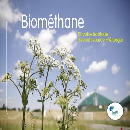 Biomethane 2015, l'énergie de nos déchets