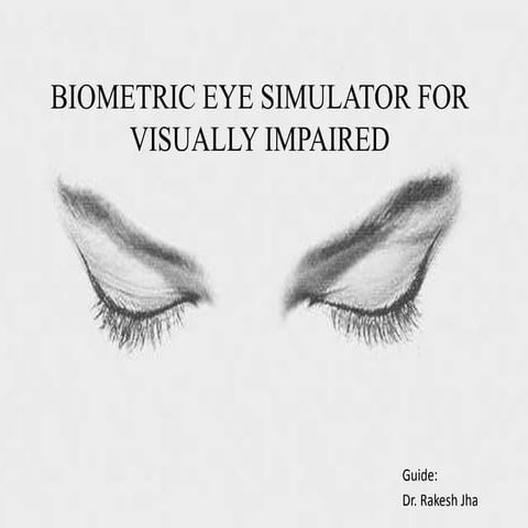 vision correcting display | PPT