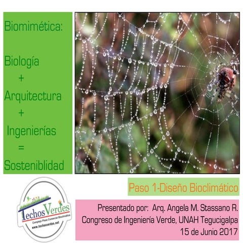 Biomimética, biologia.arquitectura.ingenierias. sostenibilidad