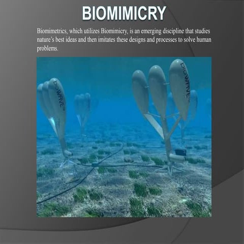 Biomimicry