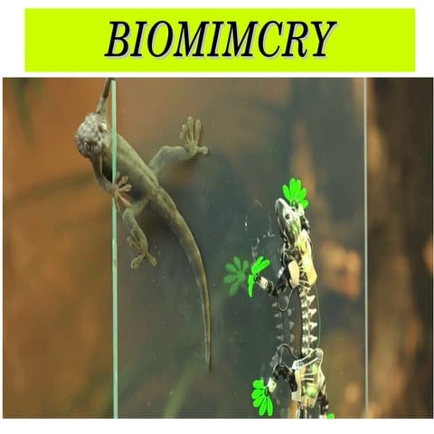 Biomimicry