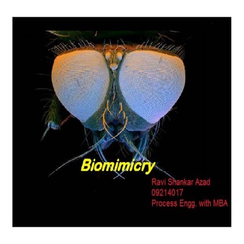 Bio-mimicry