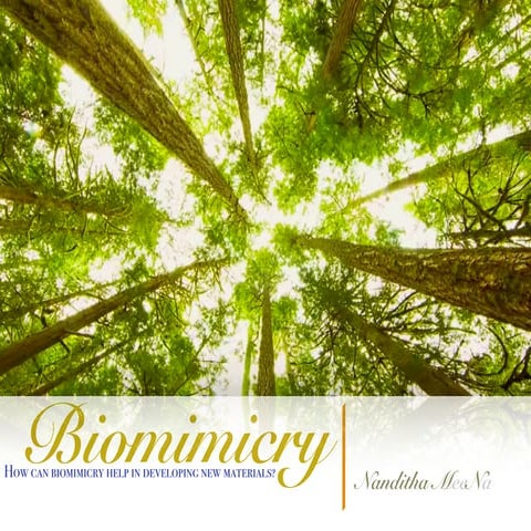 Biomimicry