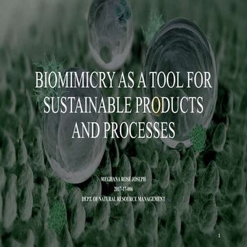 Biomimicry as a tool for sustainable products and processes