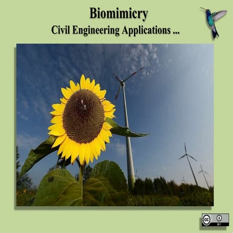 Biomimicry –Applications in Civil Engineering