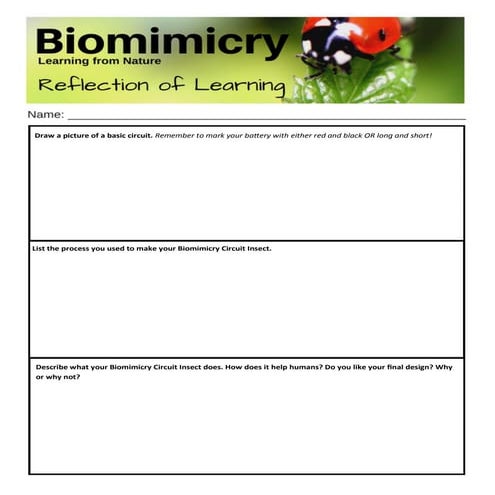 Biomimicry circuit insect reflection on learning | PDF