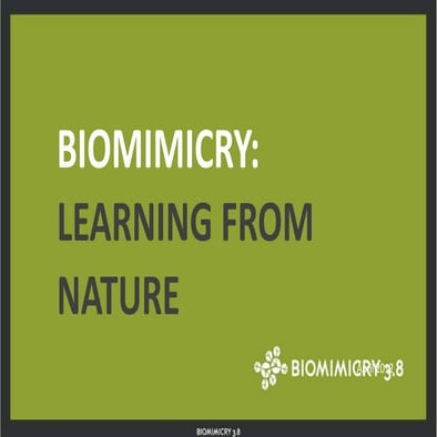 Biomimicry introduction