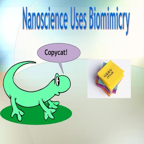 Biomimicryppt2