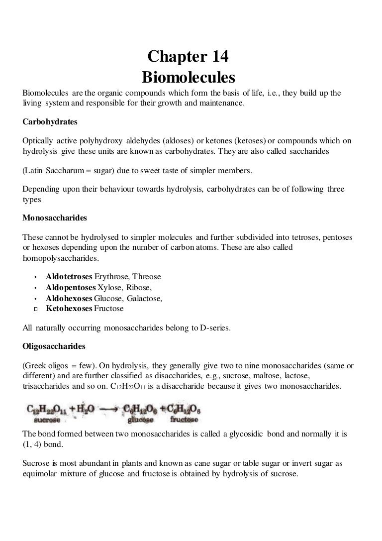 Biomolecules Class XII notes