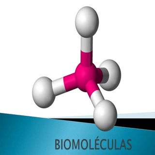 Biomoléculas