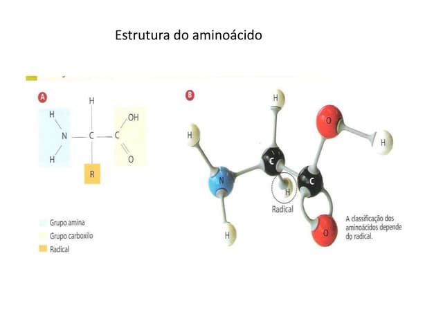 Biomoléculas