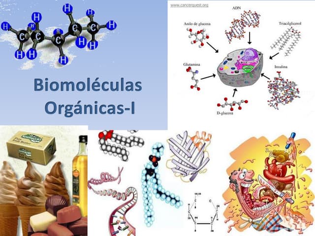 Biomoléculas orgánicas