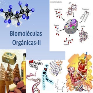 Biomoléculas orgánicas ii