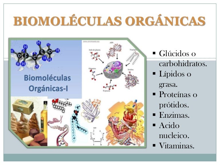 Biomoléculas orgánicas biologia