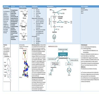 Biomoléculas resumen de bioquimica