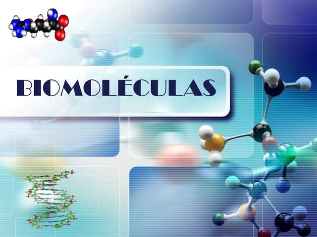 Biomoleculas criativas