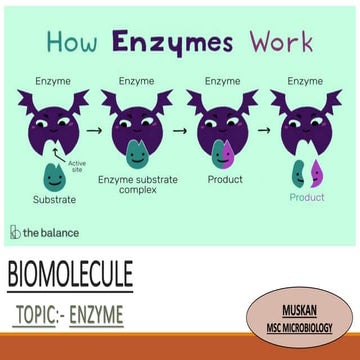 BIOMOLECULE PRESENTATION BY MUSKAN.pptx
