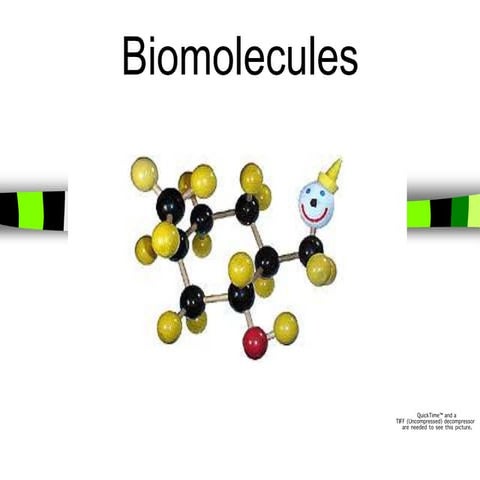 Biomolecules.ppt