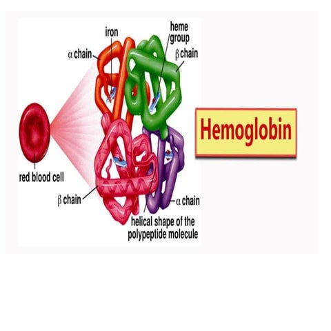 BIOMOLECULES_CLASS 11 PRIYA JHA KVS.pptx