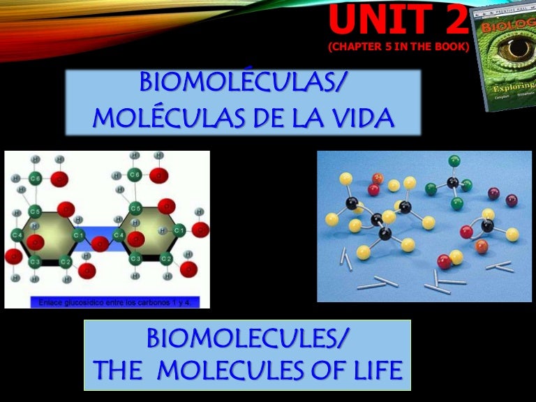 Biomolecules molecules of life 2015