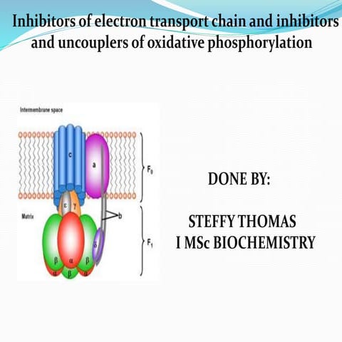 Biomolecules and bioenergetics