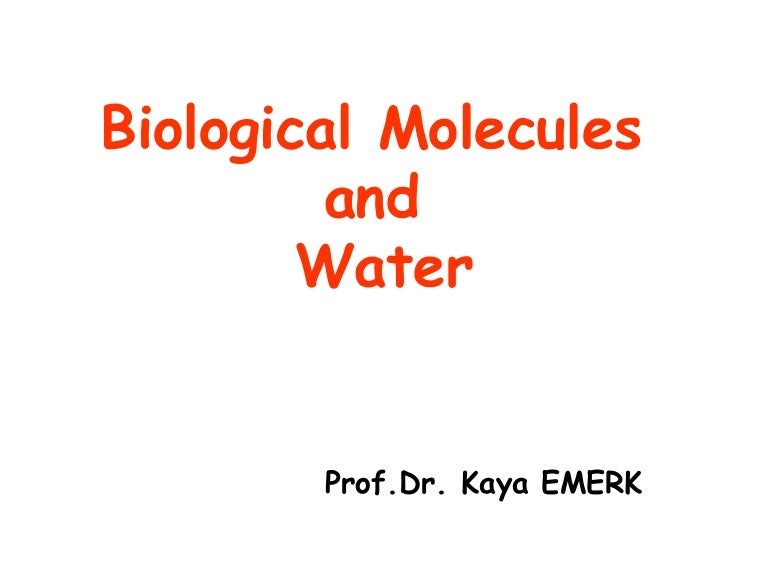 Biomolecules and water
