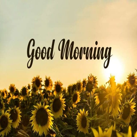 BIOMOLECULESedited.pptx