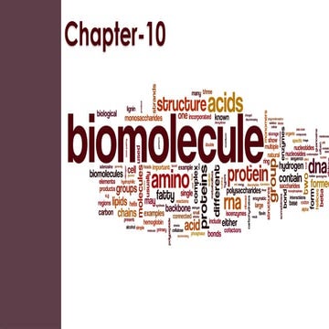 Biomolecules Class12ncertwithrizwaninal Pptx