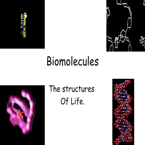 Biomolecules macromolecules