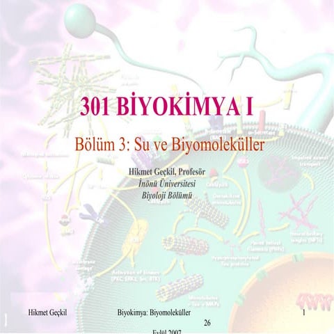 Biyokimye: Biomolekuller