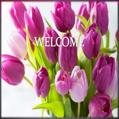 Pressure and salt concentration