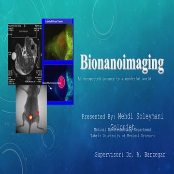 Bionanoimaging