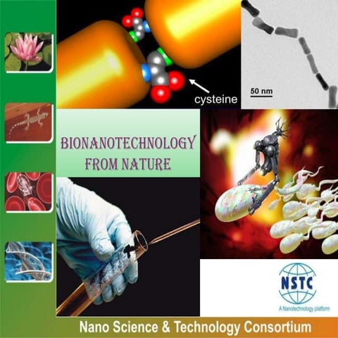 Bionanotechnology from nature
