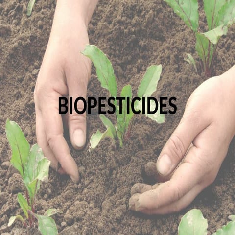 Biopesticides   An Introduction PPT.pptx