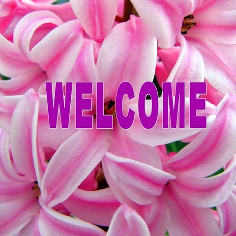 Biopharmaceutics classification system