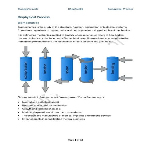 Biophysics Chapter 6 Biophysical Process.pdf