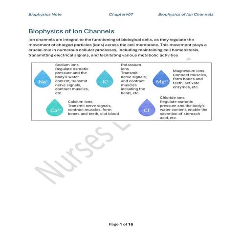Biophysics Chapter 7 Biophysics of Ion Channel.pdf
