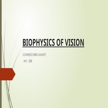 Biophysics of Vision: Phototransduction, Eye Types, and Temporal ...