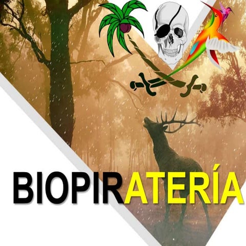 Biopirateria. Cómo se defiende el Perú contra este mal.