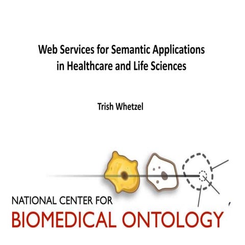 Web Services for Semantic Applications in Healthcare and Life Sciences