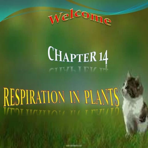  Bio presentation-respiration
